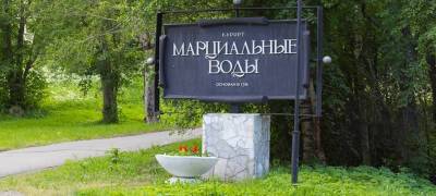 Профсоюзы Карелии продали санаторий «Марциальные воды» почти за 96 млн рублей