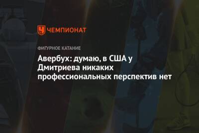 Авербух: думаю, в США у Дмитриева никаких профессиональных перспектив нет