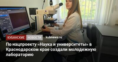 По нацпроекту «Наука и университеты» в Краснодарском крае создали молодежную лабораторию