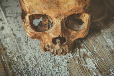 Обнаруженные в Краснодарском крае 34 черепа без скальпа связывают с ритуальным убийством