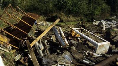 В России намерены ужесточить наказание за незаконные свалки в лесу