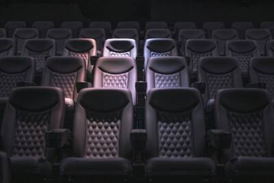 Владельцы курских кинотеатров обратились к главе региона с просьбой открыть их с 13 ноября