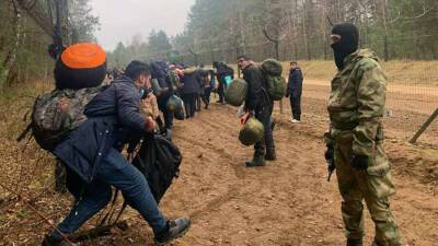 Германия готова помочь мигрантам на польско-белорусской границе