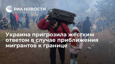 МВД Украины: полиция жестко отреагирует на "искусственное" движение мигрантов к границе
