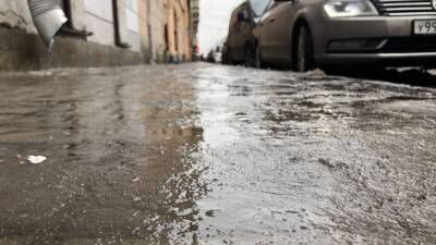 Улицы и тротуары Петербурга начали покрывать солевым раствором в преддверии зимы