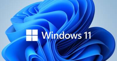 Microsoft обновила Windows 11 и старые версии операционки: что нужно знать пользователям - focus.ua - Украина - Microsoft