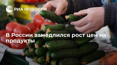 Росстат: рост цен на огурцы, помидоры и картофель в России с 2 по 8 ноября замедлился