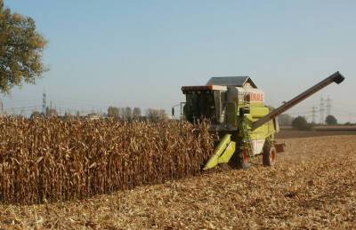 Светлана Литвин - В Украине прогнозируют рекордный урожай кукурузы - agroportal.ua - Украина