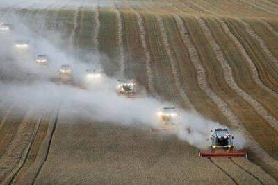 Минсельхоз РФ планирует квоту на экспорт зерна из РФ на январь-июнь 2022 года