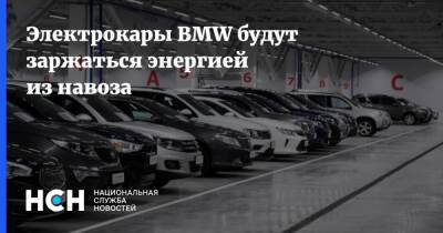 Электрокары BMW будут заржаться энергией из навоза