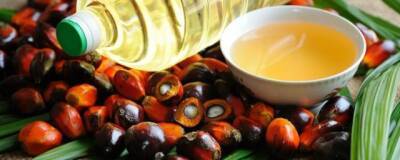 Жирная кислота из пальмового масла способствует росту метастаз
