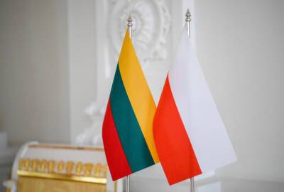 Белашко: ЕС лицемерно накажет Польшу и Литву за издевательства над...