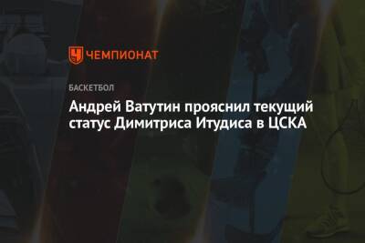 Андрей Ватутин прояснил текущий статус Димитриса Итудиса в ЦСКА