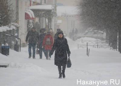 Синоптики спрогнозировали предстоящую зиму в России