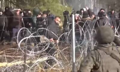 Обострение на польско-беларуской границе: силовики Лукашенко гонят мигрантов на штурм госграницы