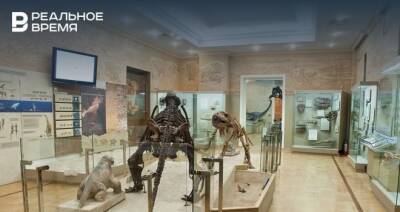 В Музее естественной истории РТ стартует проект «Школа юного палеонтолога»