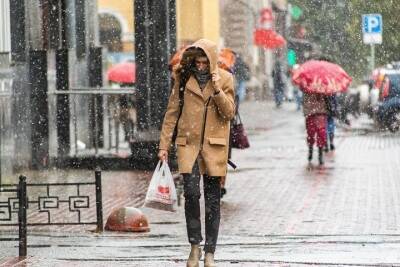 Мокрый снег и сильные порывы ветра вновь придут в Томск 11 ноября