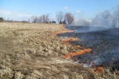 Об угрозе масштабных пожаров напомнили жителям Красноярского края