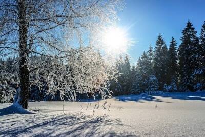 Морозы до -18 градусов надвигаются на Томскую область