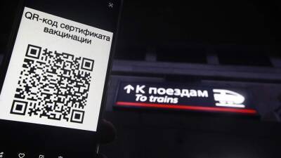 В Хабаровском крае введут QR-коды для входа на вокзалы и в аэропорты