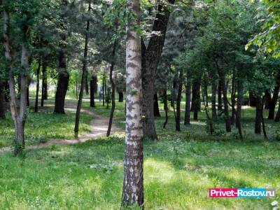 Первую милю парка Темерник в Ростове могут соединить с Ботаническим садом