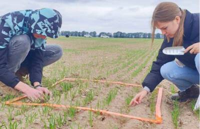 Названы факторы, минимизирующие влияние изменения климата на агросектор - agroportal.ua - Украина