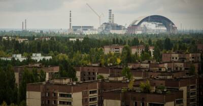 Правительство одобрило законопроект для развития Чернобыльского заповедника - dsnews.ua - Украина - Киевская обл. - район Вышгородский - Славутич