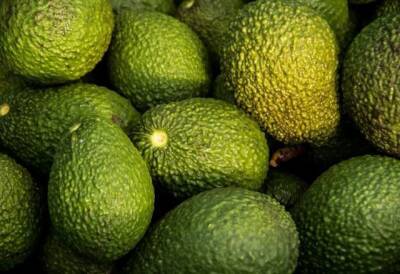 Врач предупредил о содержании в авокадо токсичного вещества