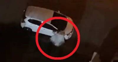 "Призрак невесты" ночью атаковал автомобиль в Приморье