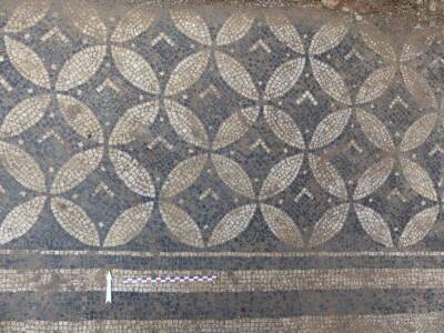 Археологи обнаружили роскошные мозаичные полы конца I века (Фото)
