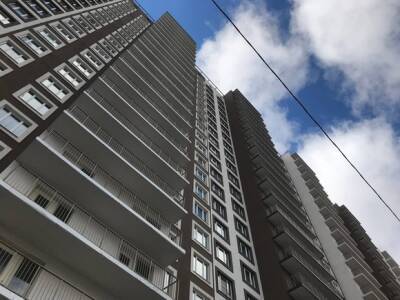 В России рассказали, какие причины могут привести к катастрофе на рынке жилья
