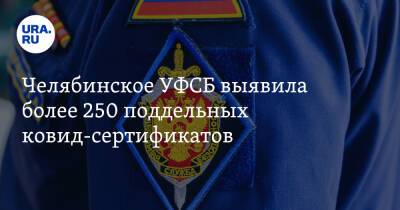 Челябинское УФСБ выявила более 250 поддельных ковид-сертификатов