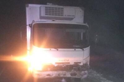 В Пудожском районе грузовик Isuzu вылетел в кювет