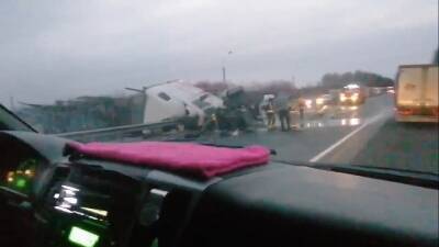 В Сеть попало видео с места аварии в Смоленской области, где погиб водитель лесовоза
