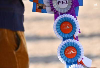 В этом году премию "Гордость Санкт-Петербурга" вручат специалистам конной индустрии