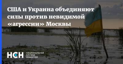 США и Украина объединяют силы против невидимой «агрессии» Москвы