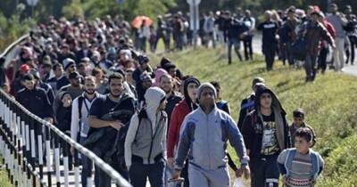 Реакция на предложение Бундестага предоставлять в Украине убежище нелегалам "в целом правильная", — политолог