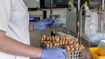 В России разрабатывают лекарство для подавления размножения коронавируса