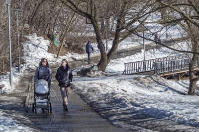 В Москве сформировался первый в сезоне снежный покров