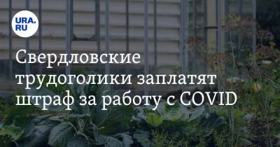 Свердловские трудоголики заплатят штраф за работу с COVID