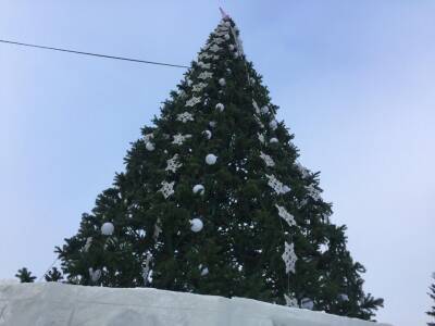 В Новосибирске новогоднюю ёлку украсят гирляндой за 278 тысяч рублей