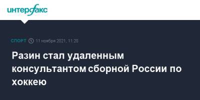 Разин стал удаленным консультантом сборной России по хоккею