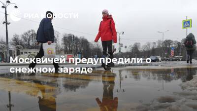 Синоптик "Фобос" Тишковец: внезапный сильный снегопад ожидается в Москве в пятницу утром