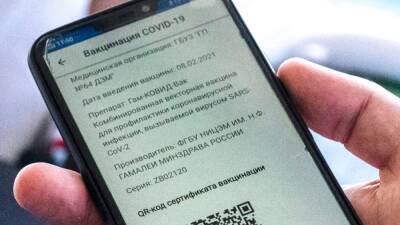 В Хабаровске задержаны 6 человек за фальшивые COVID-сертификаты