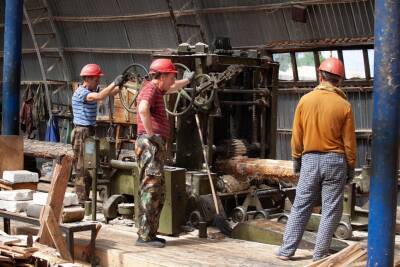 Барышские лесопромышленники повысят зарплату работникам