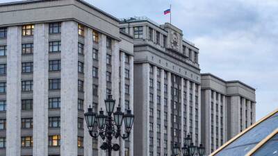 В ГД объяснили цель обвинений Блинкена в адрес России о провокациях в Донбассе
