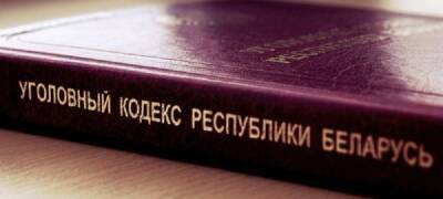 СК возбудил уголовное дело в отношении участников «мобилизационного плана «Перамога» - naviny.by - Белоруссия