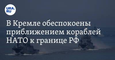 В Кремле обеспокоены приближением кораблей НАТО к границе РФ