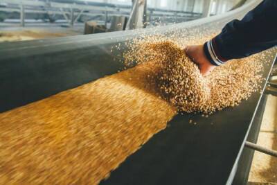 Патрушев предупредил, что формулы расчета экспортных пошлин на зерно могут изменить