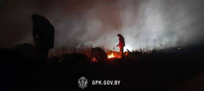 Лукашенко: В лагерь мигрантов на границе пытаются перебросить оружие с Донбасса